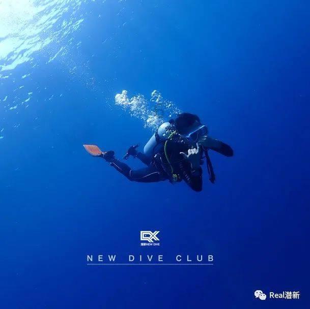 美妙森林找不同